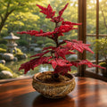 Beaded Bonsai Tree- by Rawnak by fatima